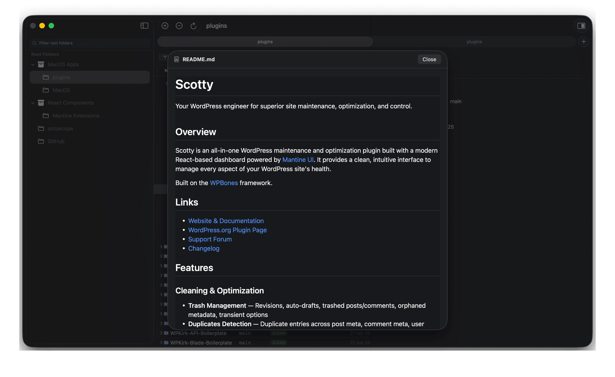 Native Markdown preview shown on Space